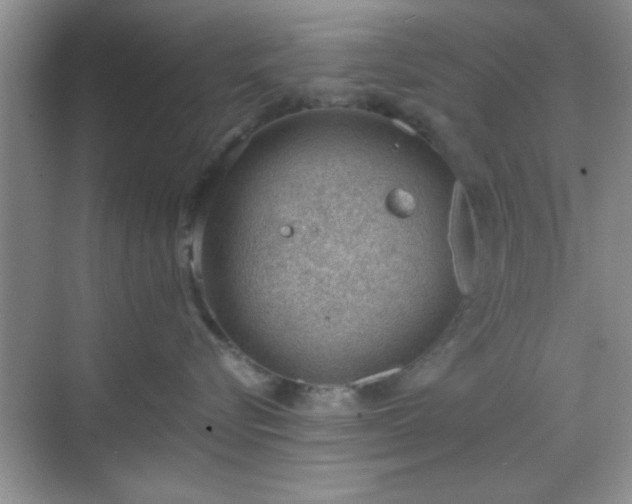 X0000068830576200605081216