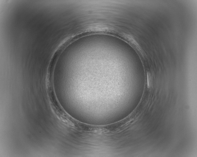 X0000068830579200605081215