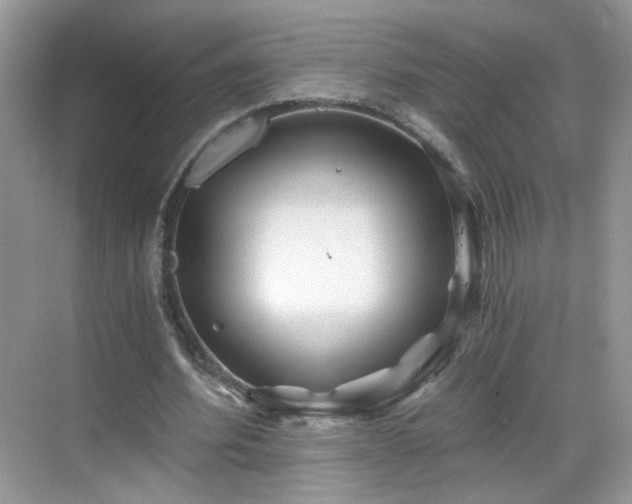 X0000068830580200605081215