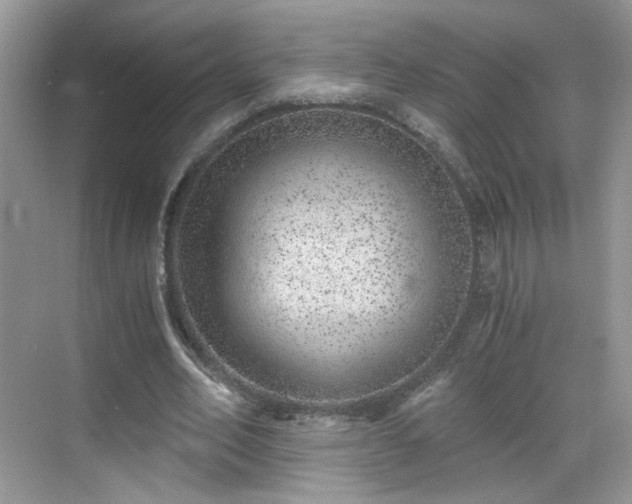 X0000068830582200605081215