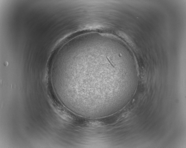 X0000068830583200605081215