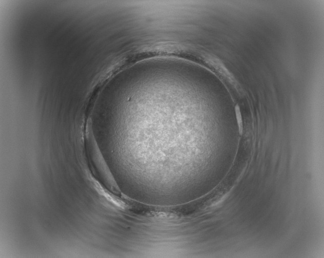 X0000068830585200605081215