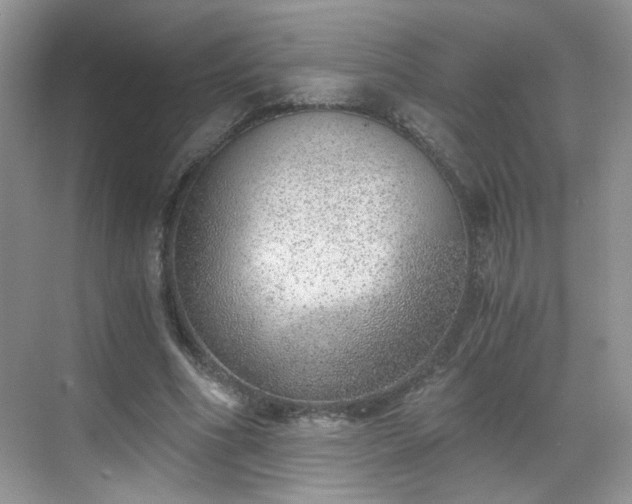 X0000068830586200605081215