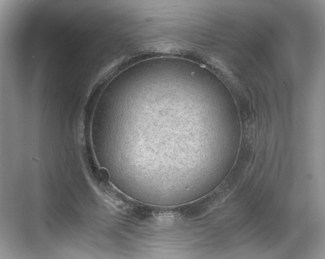 X0000068830587200605081215