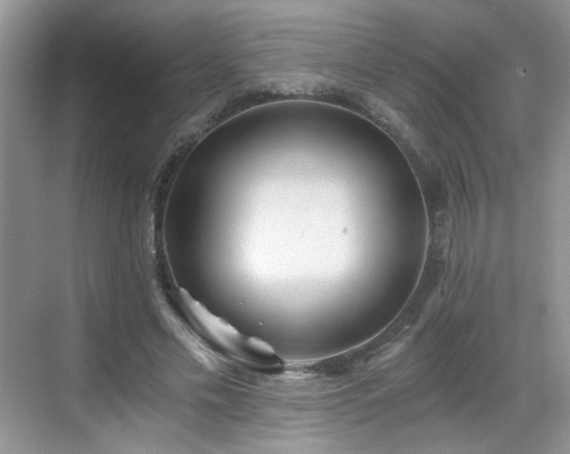 X0000068830589200605081215