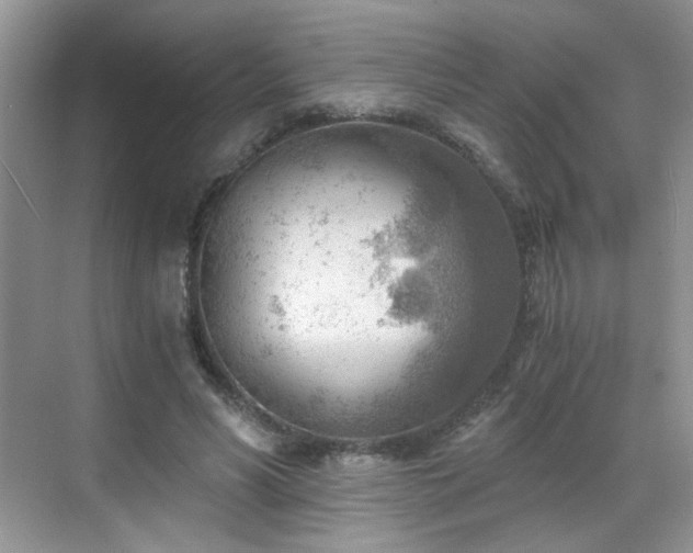 X0000068830590200605081215