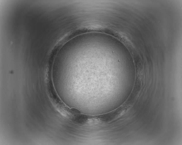 X0000068830591200605081215