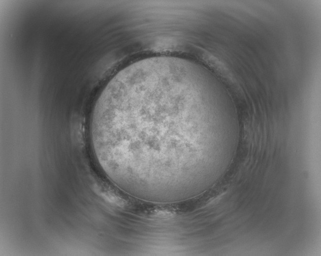 X0000068830592200605081215