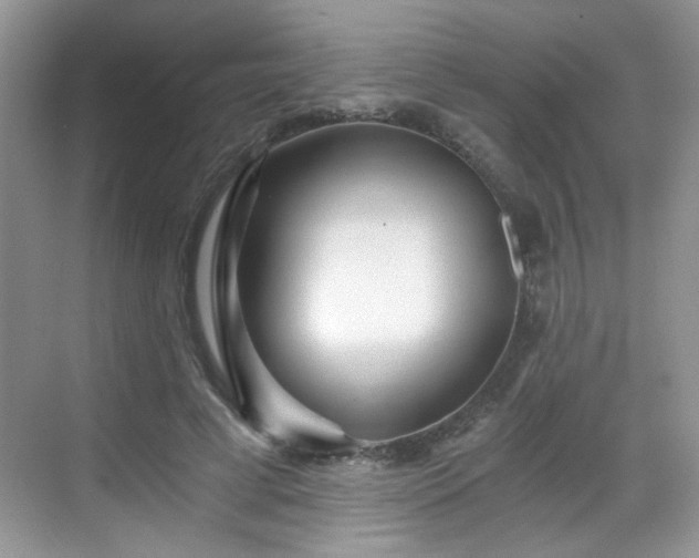 X0000068830593200605081215