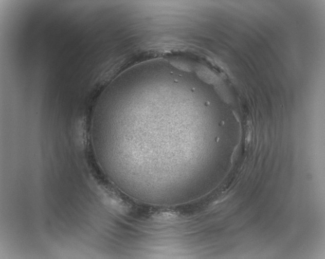 X0000068830594200605081215