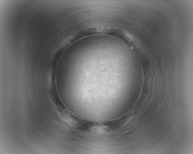 X0000068830595200605081215