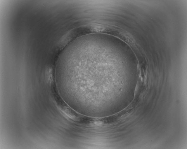 X0000068830598200605081215