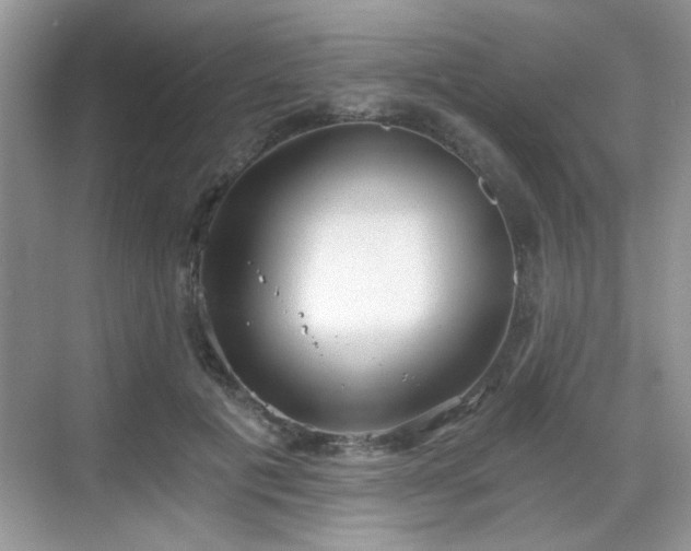 X0000068830601200605081215