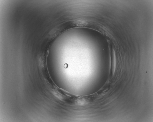 X0000068830604200605081215