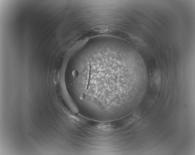 X0000068830606200605081215