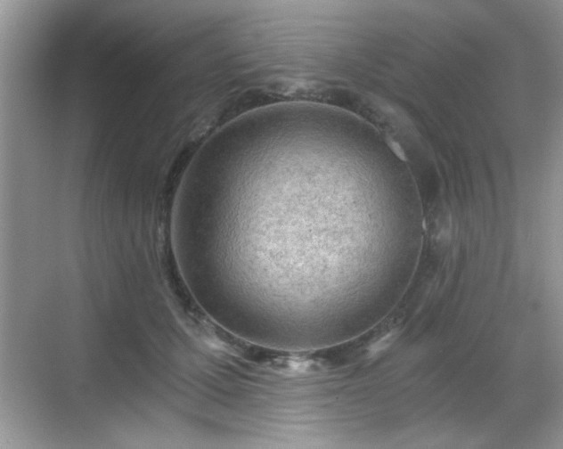 X0000068830607200605081215