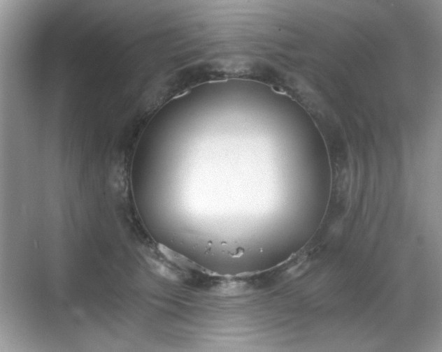 X0000068830609200605081215