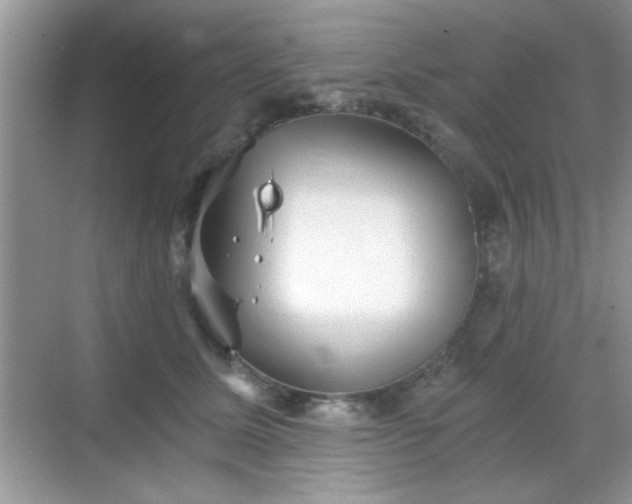 X0000068830611200605081215