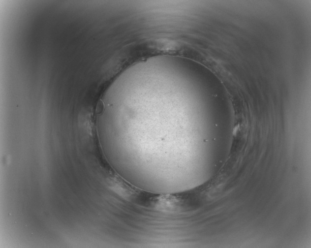 X0000068830612200605081215