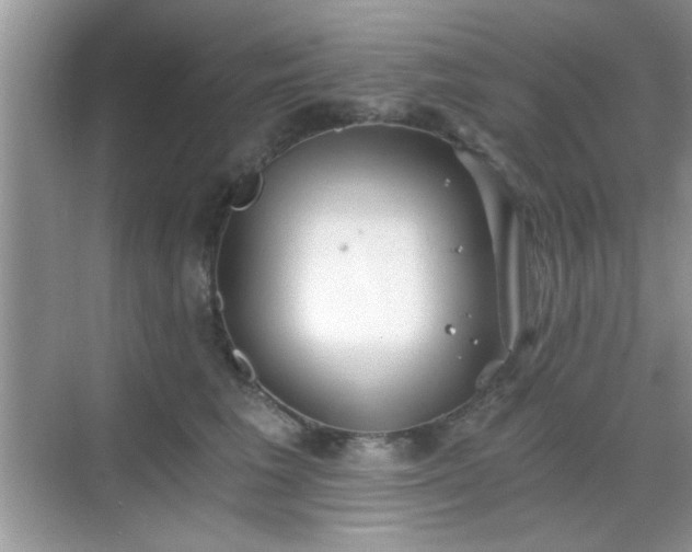 X0000068830613200605081215