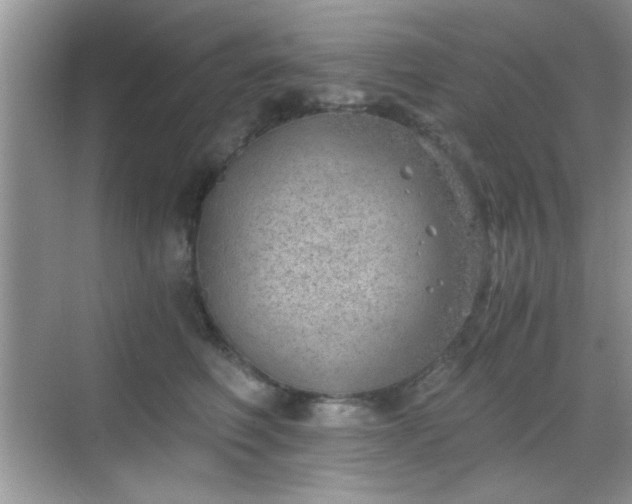 X0000068830614200605081215