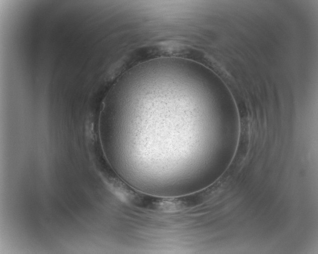 X0000068830615200605081215