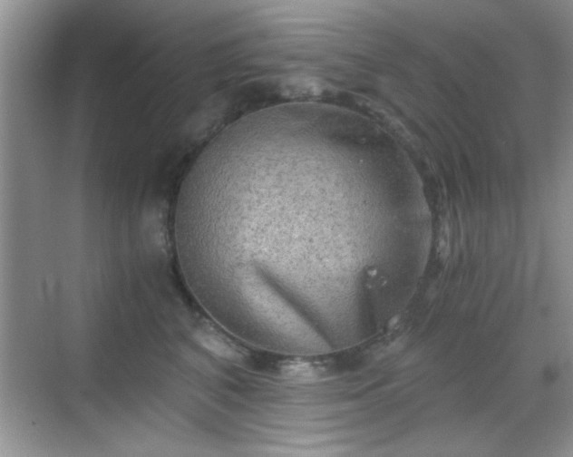 X0000068830616200605081215