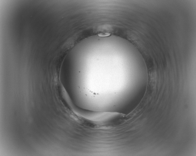 X0000068830617200605081215