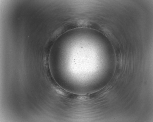 X0000068830619200605081215