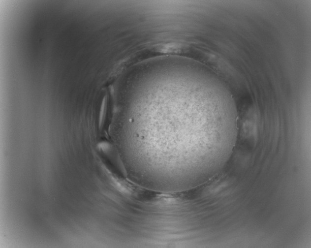 X0000068830620200605081215