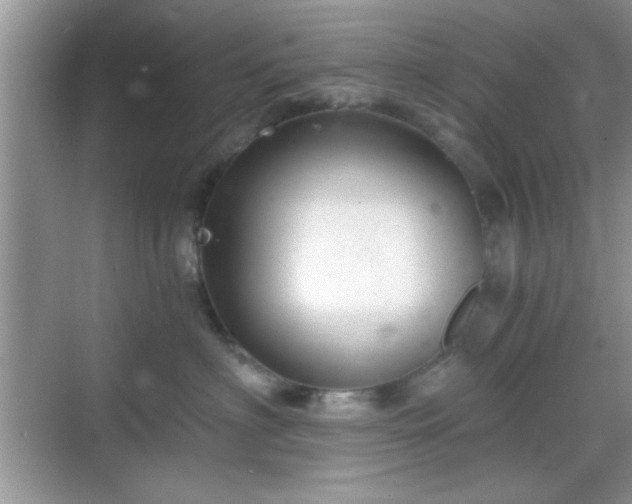 X0000068830622200605081215