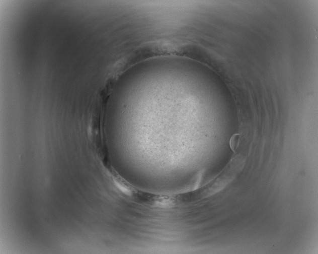 X0000068830624200605081215