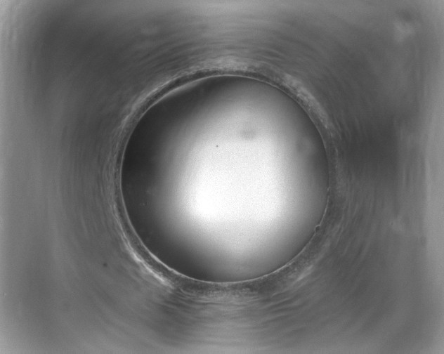 X0000068830625200605081214