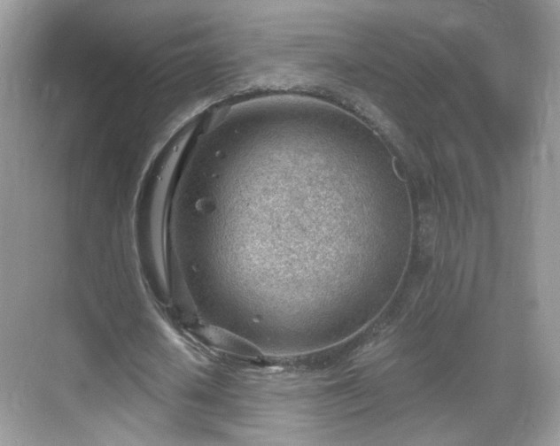 X0000068830626200605081214