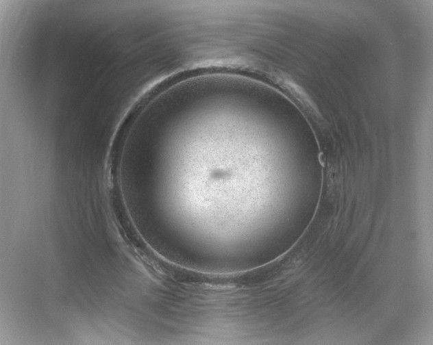 X0000068830628200605081214