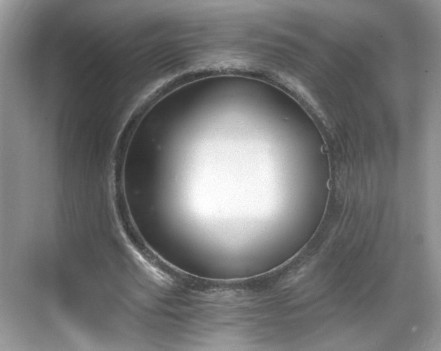 X0000068830629200605081214