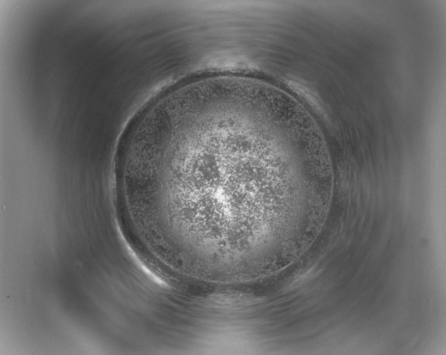 X0000068830630200605081214