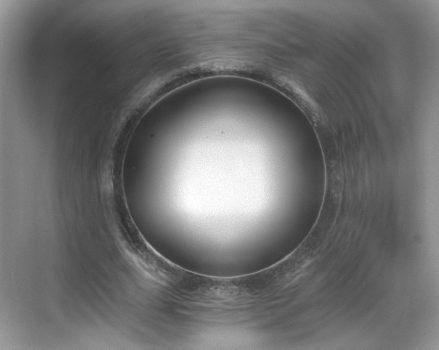 X0000068830631200605081214