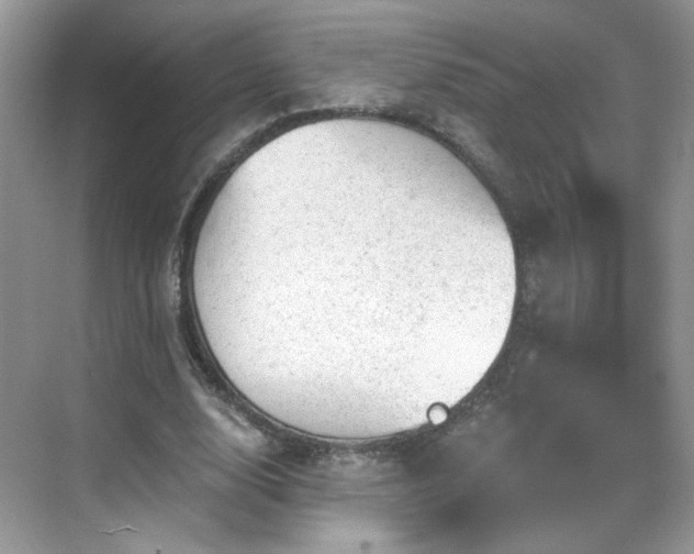 X0000068830632200605081214