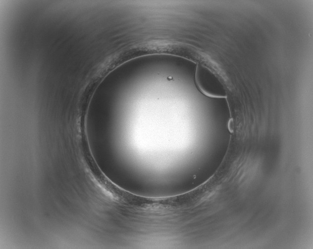 X0000068830633200605081214