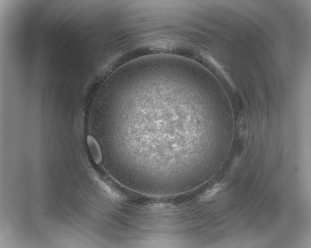 X0000068830637200605081214