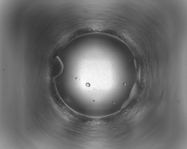 X0000068830639200605081214