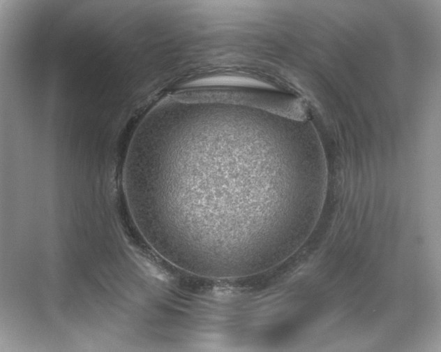 X0000068830641200605081214