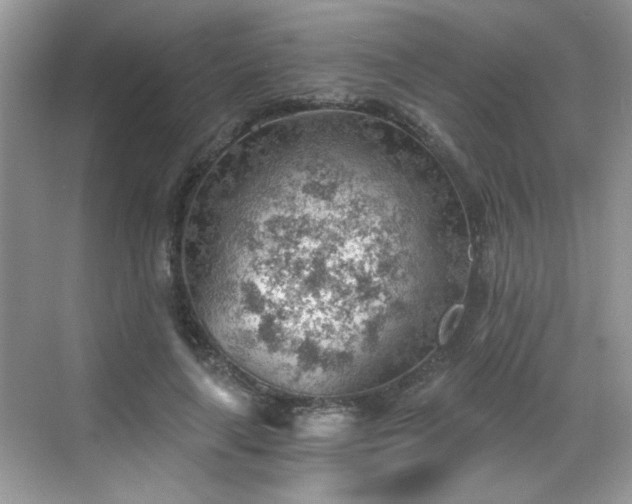 X0000068830643200605081214