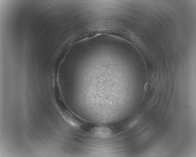 X0000068830644200605081214