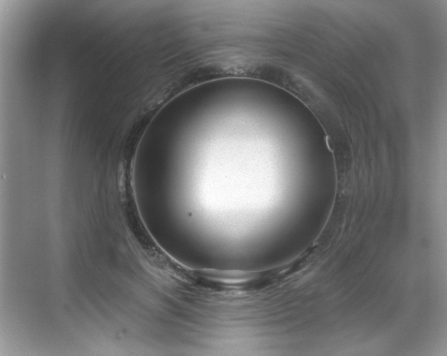 X0000068830646200605081214