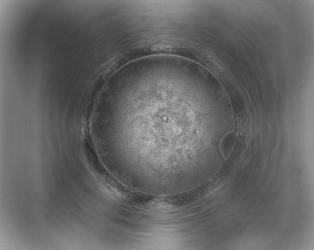 X0000068830648200605081214