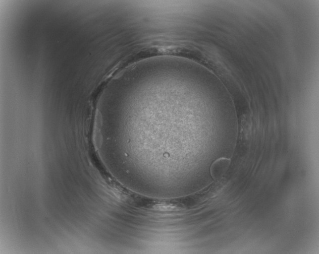 X0000068830650200605081214