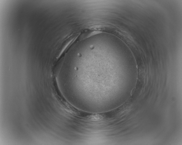 X0000068830652200605081214