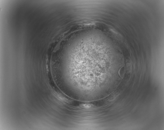 X0000068830654200605081214